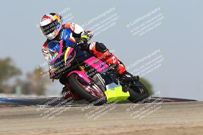 media/Oct-06-2025-2WTD (Mon) [[90522c3a0b]]/B Group/1120am (Grapevine)/